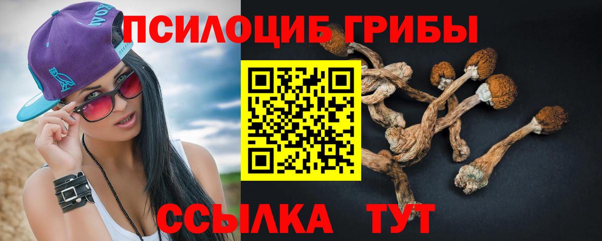 Галлюциногенные грибы прущие грибы  Вход с VPN  Псилоцибиновые грибы GOLDEN TEACHER  Барабинск 